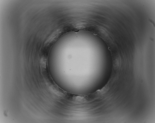 X0000103500180200809191954