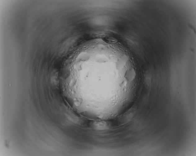 X0000103500181200809191954