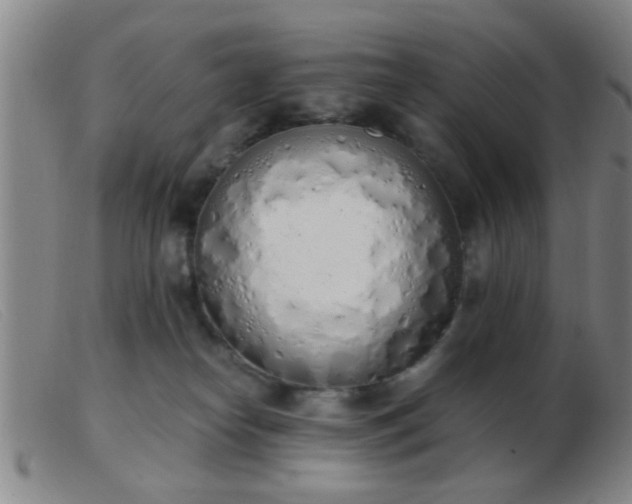 X0000103500182200809191954