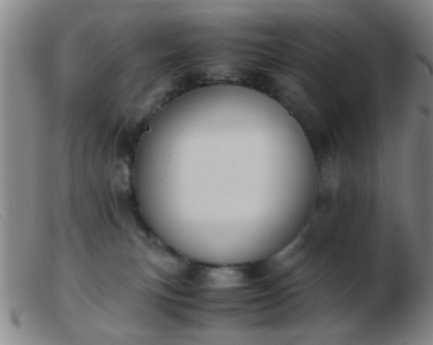 X0000103500183200809191954