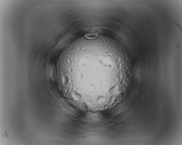 X0000103500185200809191954