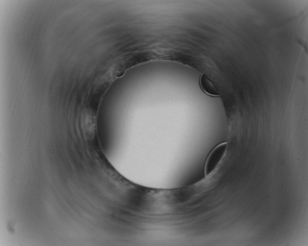 X0000103500186200809191954