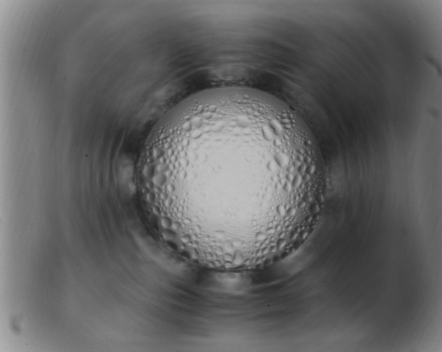 X0000103500187200809191954