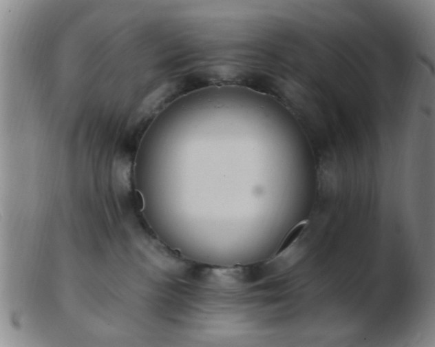 X0000103500188200809191954