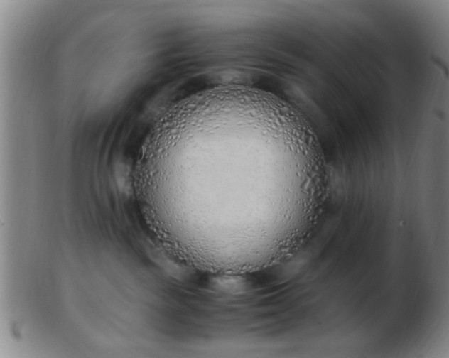 X0000103500189200809191954