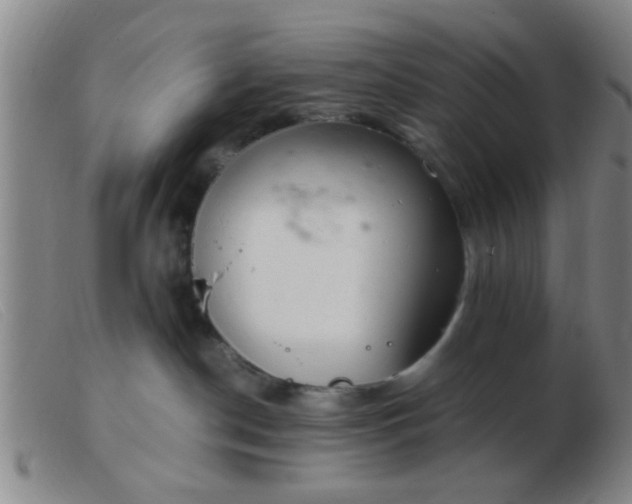 X0000103500190200809191954