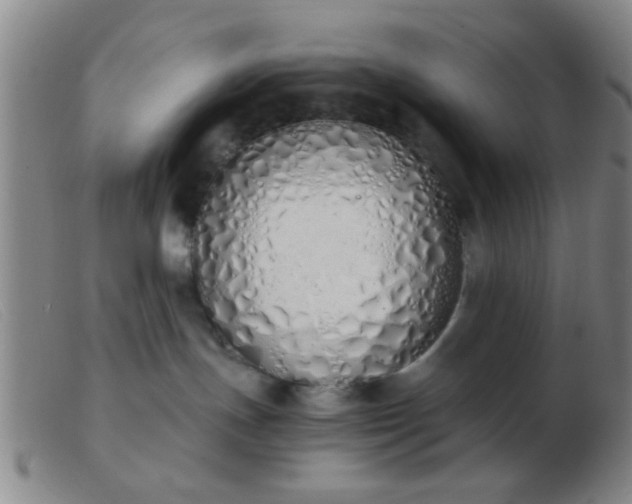 X0000103500191200809191954