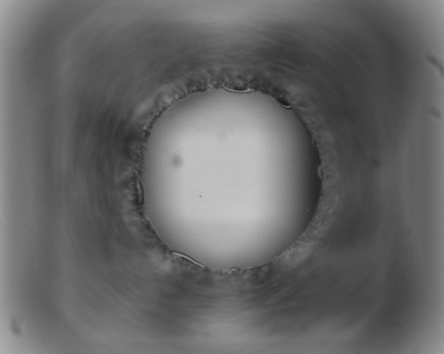 X0000103500192200809191954