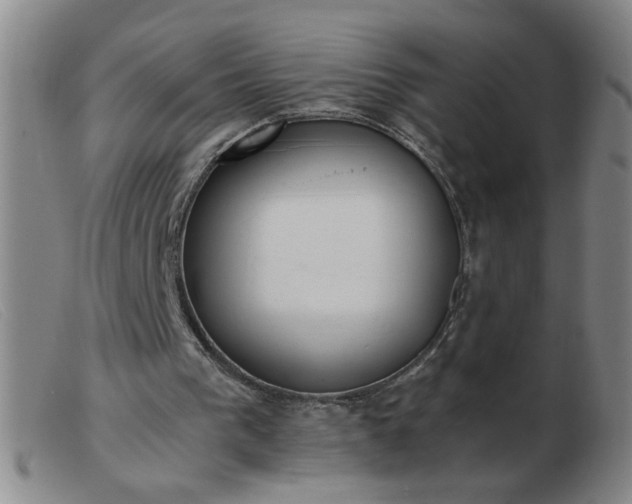 X0000103500193200809191953