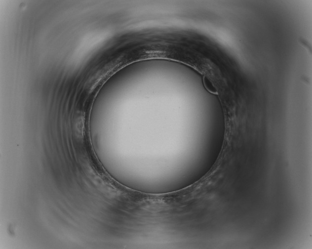 X0000103500194200809191953