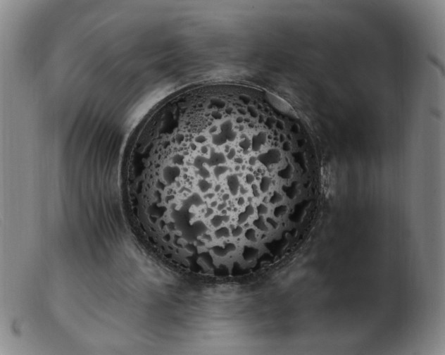 X0000103500196200809191953