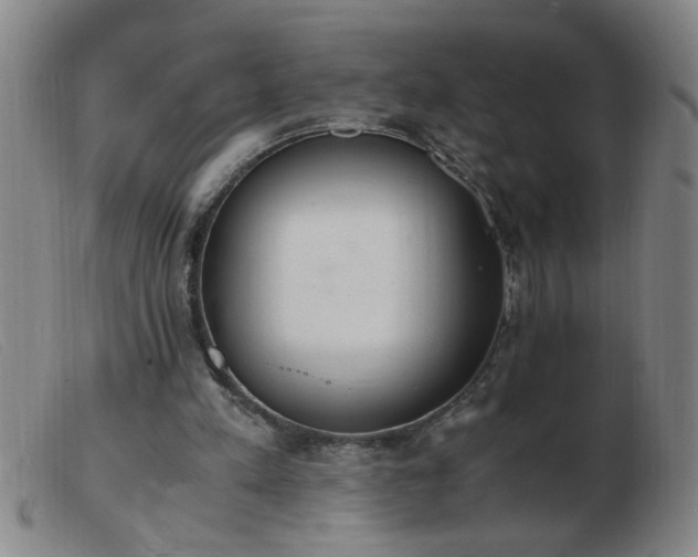 X0000103500197200809191953