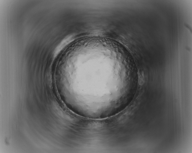 X0000103500198200809191953