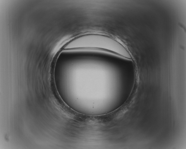 X0000103500199200809191953