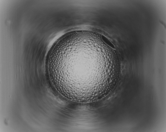 X0000103500200200809191953