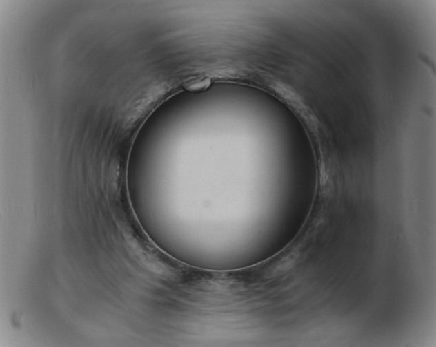 X0000103500201200809191953