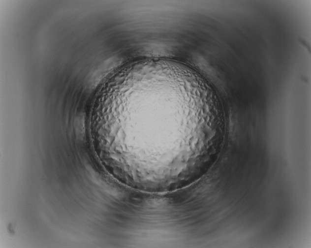 X0000103500202200809191953