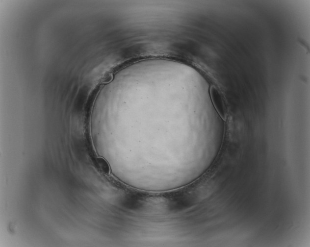 X0000103500203200809191953