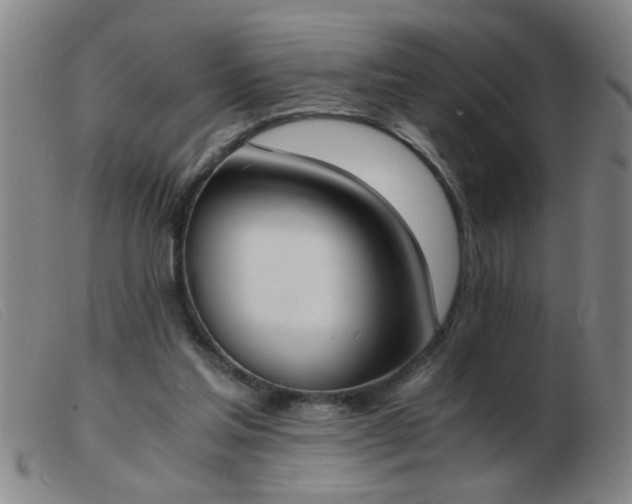 X0000103500205200809191953