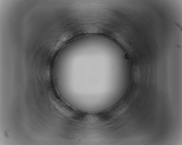 X0000103500207200809191953