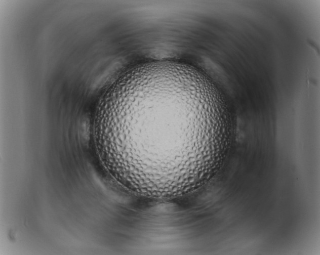 X0000103500210200809191953