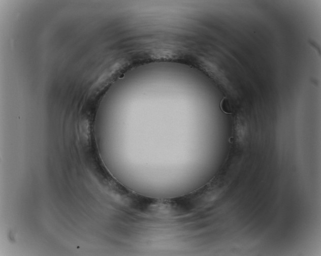 X0000103500211200809191953