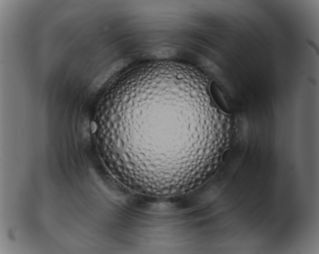 X0000103500212200809191953