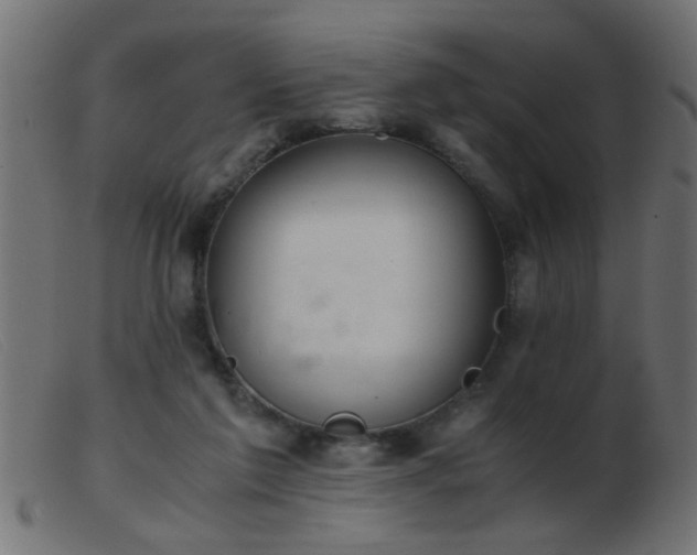 X0000103500213200809191953