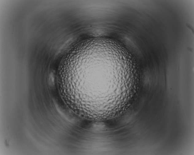 X0000103500214200809191953