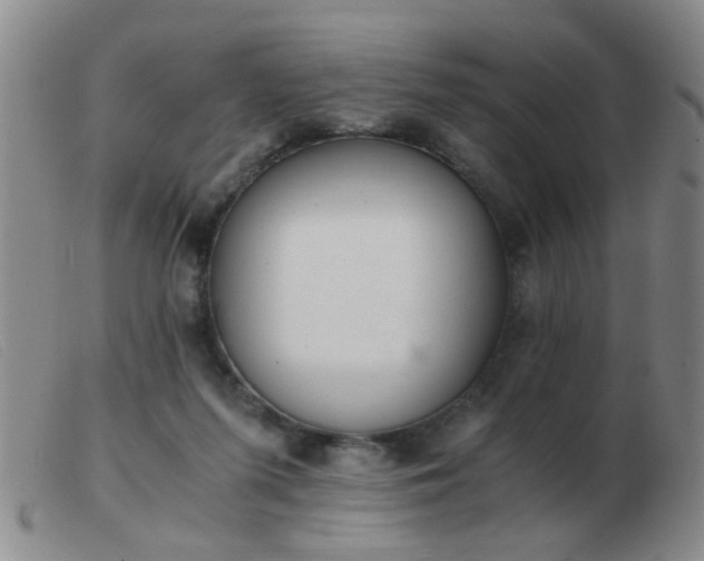 X0000103500215200809191953