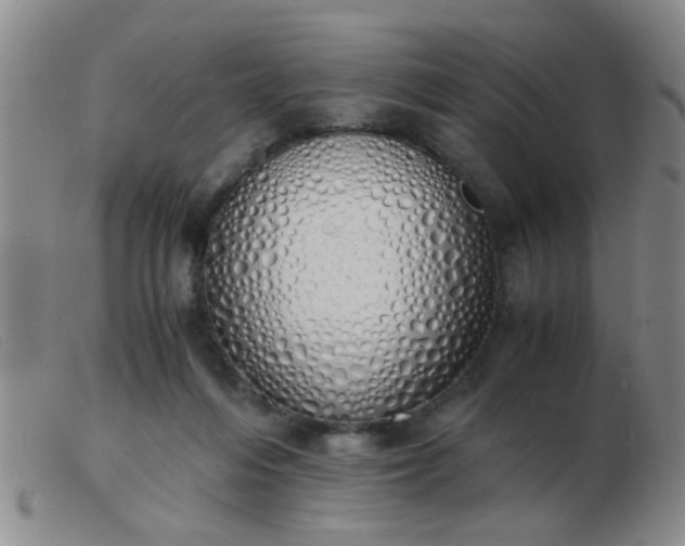 X0000103500216200809191953