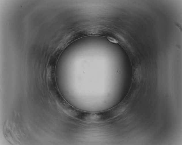 X0000103500217200809191953