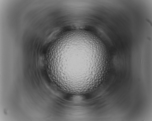 X0000103500218200809191953