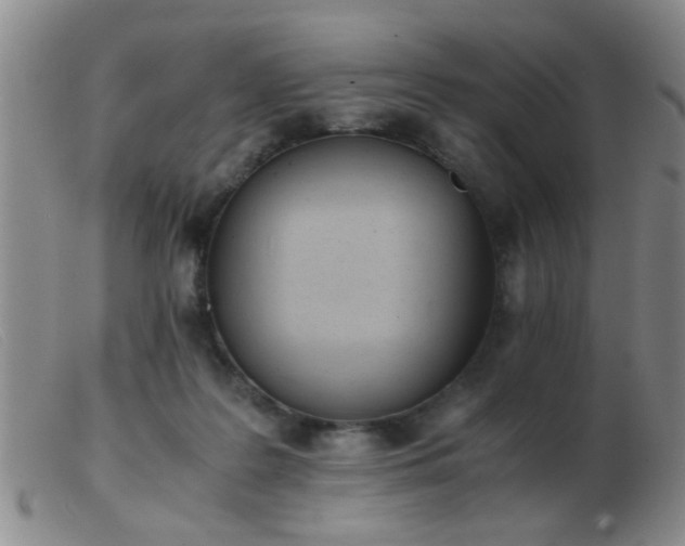 X0000103500219200809191952