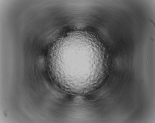 X0000103500222200809191952