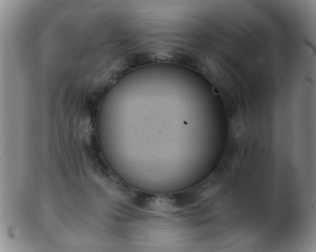 X0000103500223200809191952