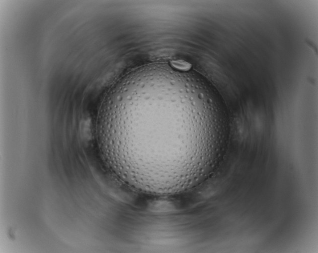 X0000103500224200809191952