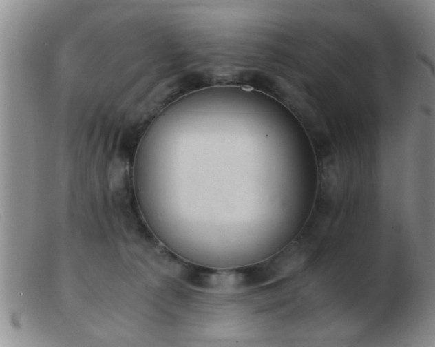 X0000103500225200809191952