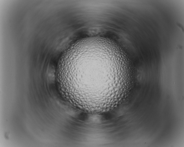 X0000103500226200809191952