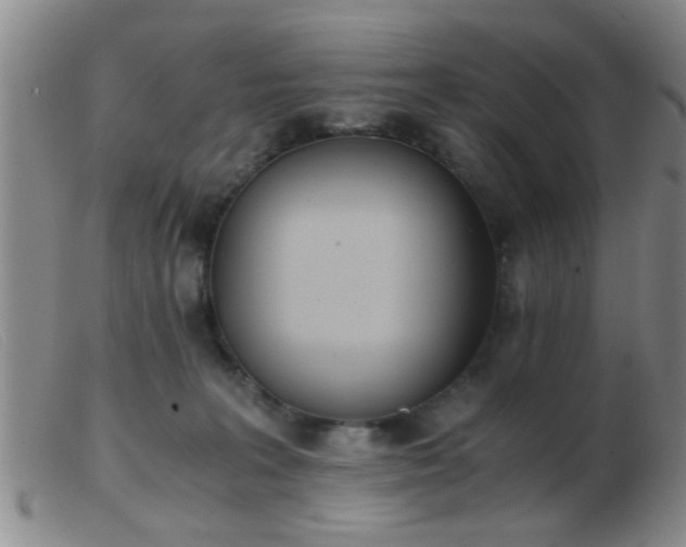 X0000103500227200809191952