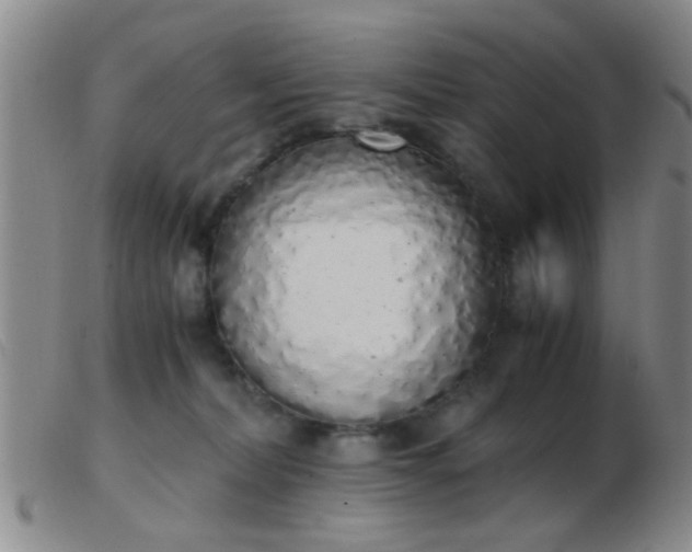 X0000103500228200809191952