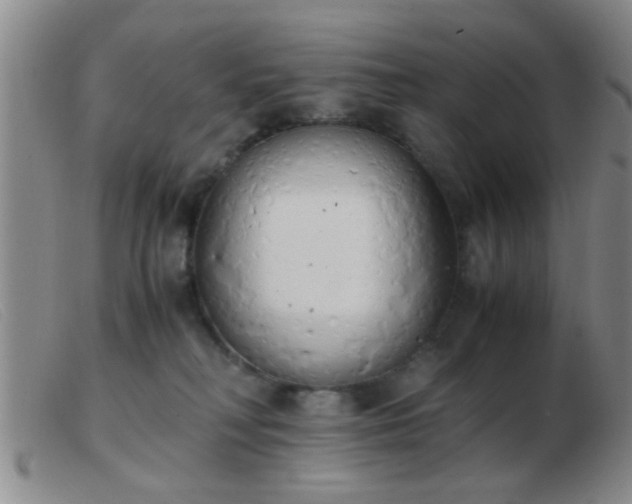 X0000103500230200809191952