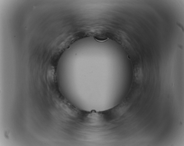 X0000103500231200809191952