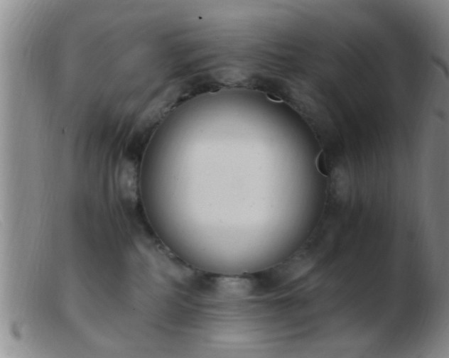 X0000103500234200809191952