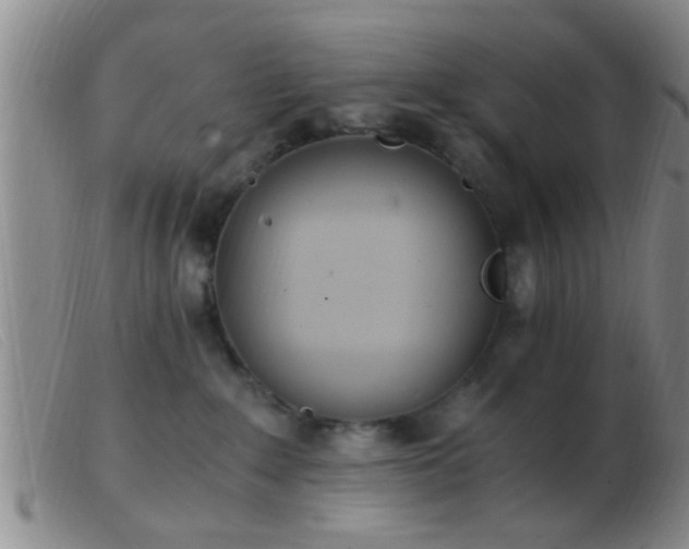 X0000103500235200809191952