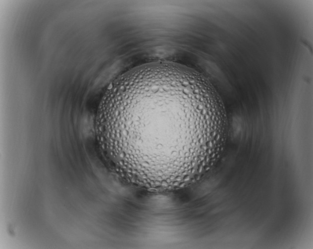 X0000103500236200809191952