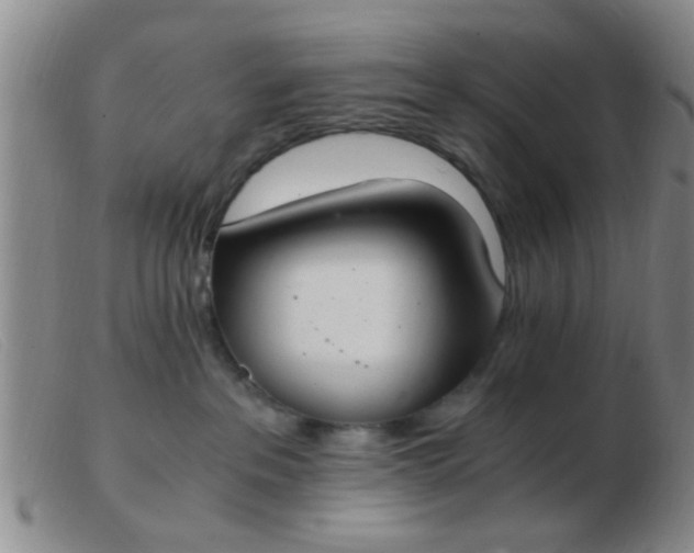 X0000103500237200809191952