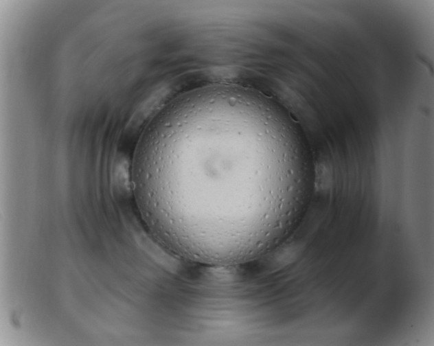 X0000103500238200809191952