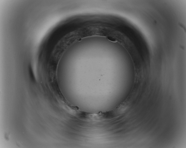 X0000103500239200809191952