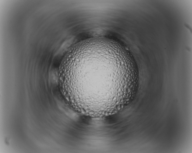 X0000103500240200809191952